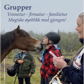 Grupper