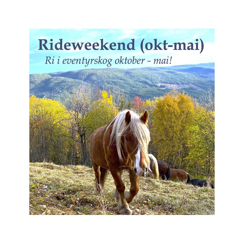 BOOK: Rideweekend (okt-mai)